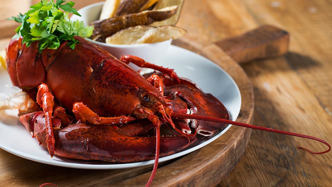 seafood-lobster-full