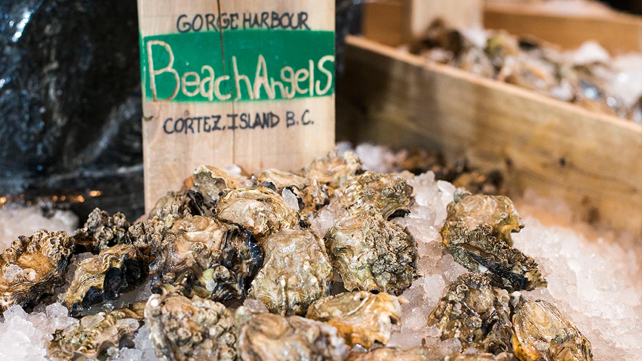 wholesale-oysters