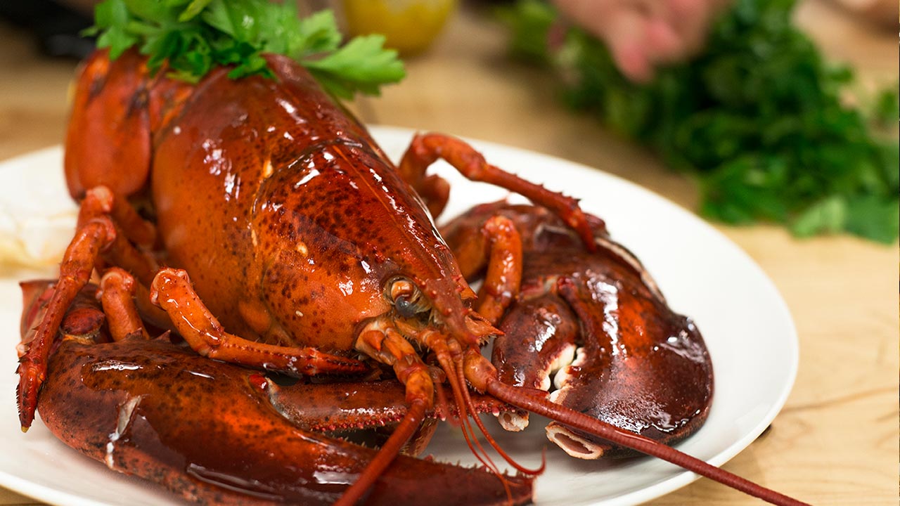 catering-lobster-boil-full